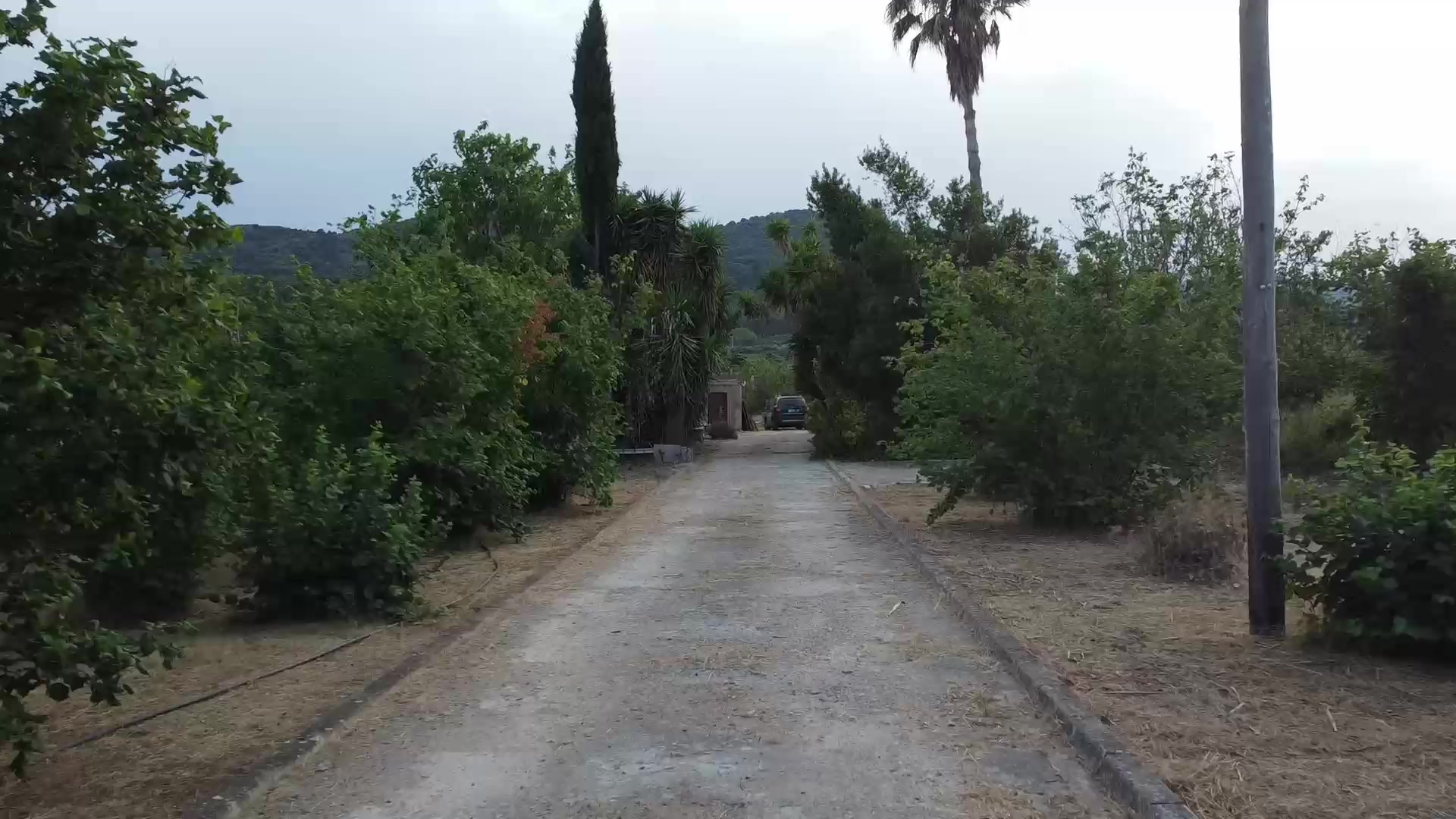 Mas Luna in Alforja, pool and olive grove at dusk