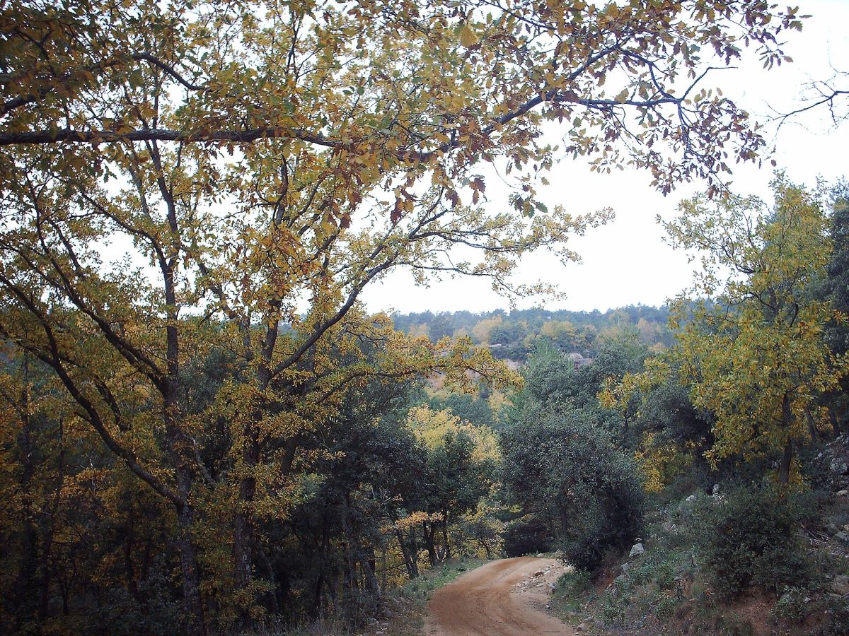 Hiking trail in the Prades mountains, view of the valley